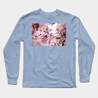 Spring Cherry Blossom Frame Long Sleeve T-Shirt